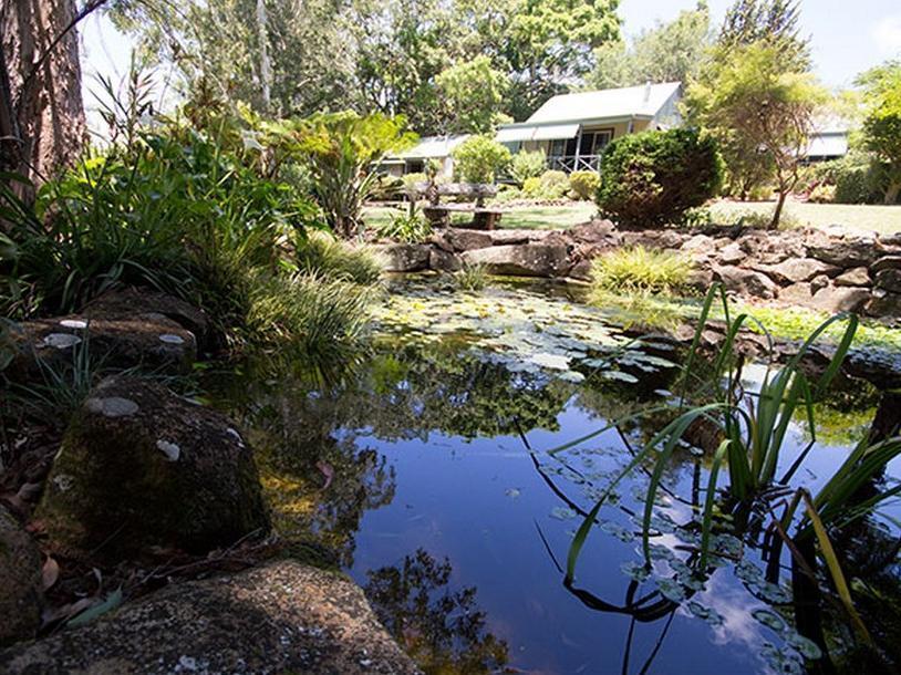 Bendles Cottages Maleny Exteriör bild