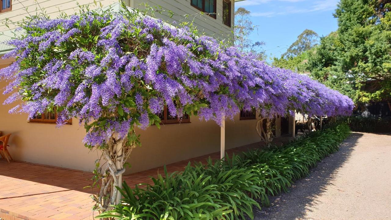Bendles Cottages Maleny Exteriör bild